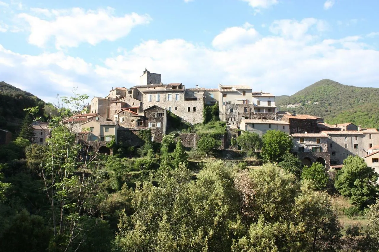 Mas Des Nabieres Bed & Breakfast Saint-Martial   Saint-Martial (Gard)