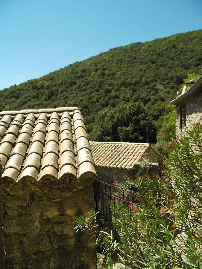 Mas Des Nabieres Bed & Breakfast Saint-Martial
