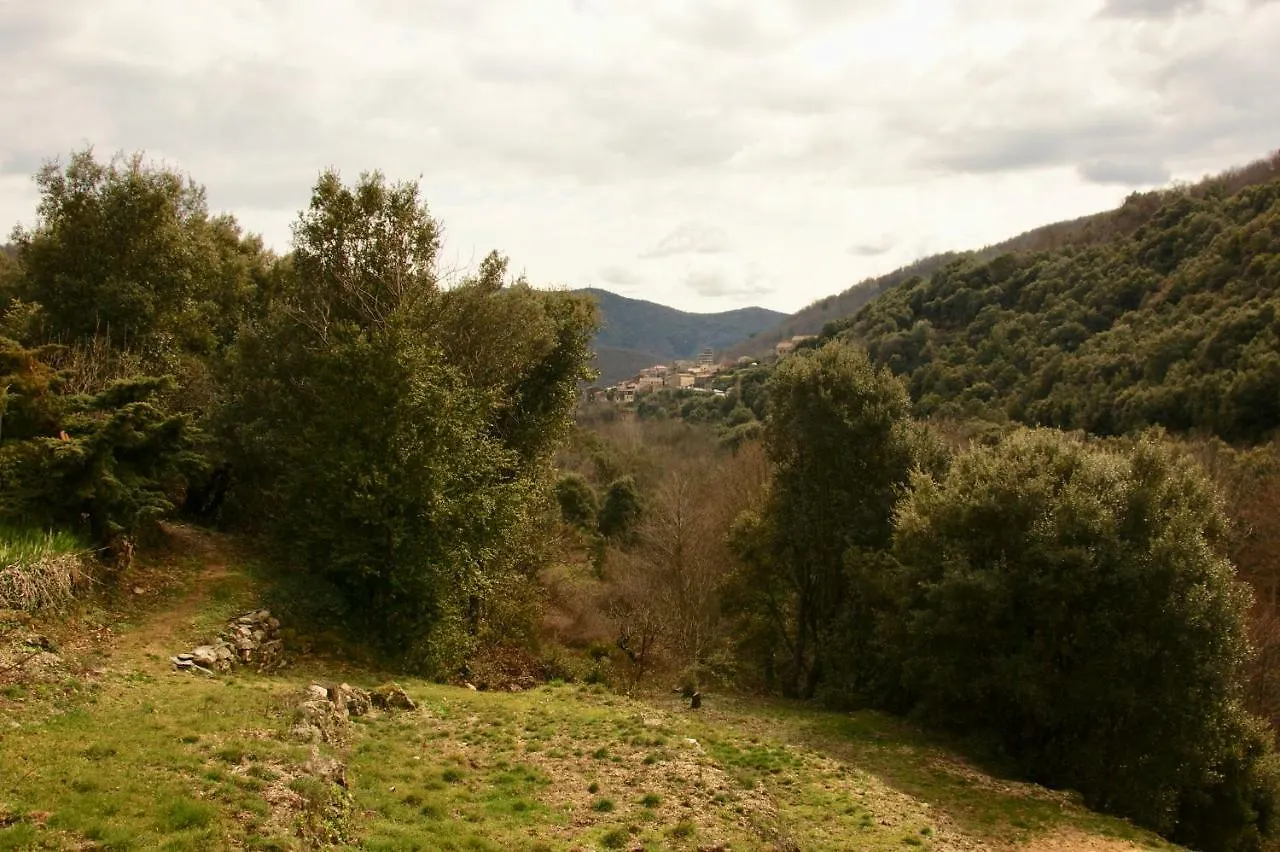 Mas Des Nabieres Bed & Breakfast Saint-Martial  Saint-Martial (Gard)